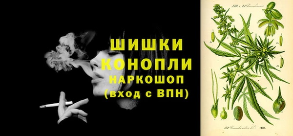 молекула духа Сафоново