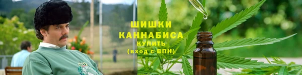 молекула духа Сафоново