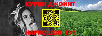 дмт Дубна