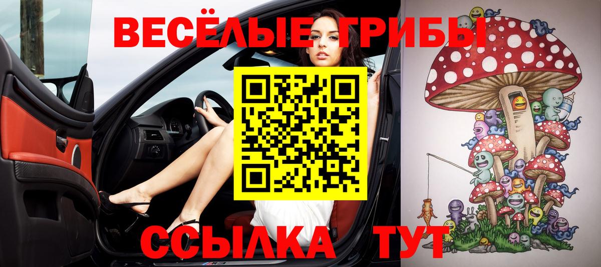 Стрежевой  Псилоцибиновые грибы Psilocybe  Псилоцибиновые грибы Psilocybe  Вход с VPN 