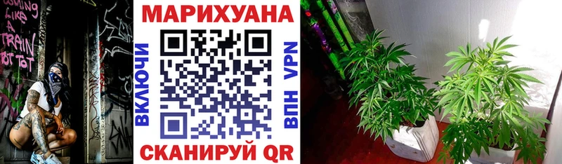 даркнет сайт  Стрежевой  Марихуана семена 